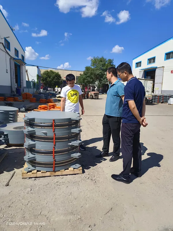 customer inspect friction pendulum isolation bearing 