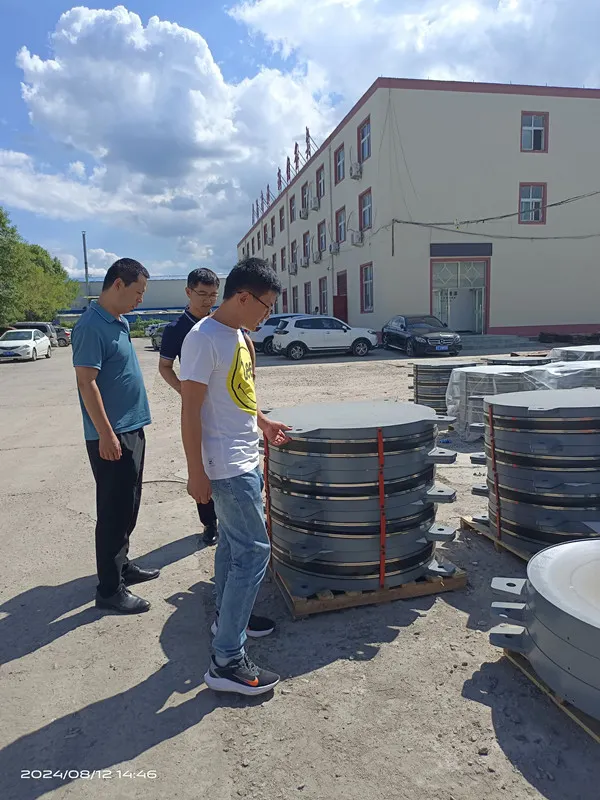 customer inspect friction pendulum isolation bearing 